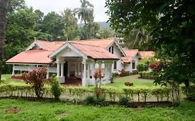 Irene'S Home